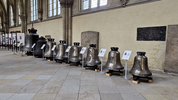 Sonderführungen im Dom